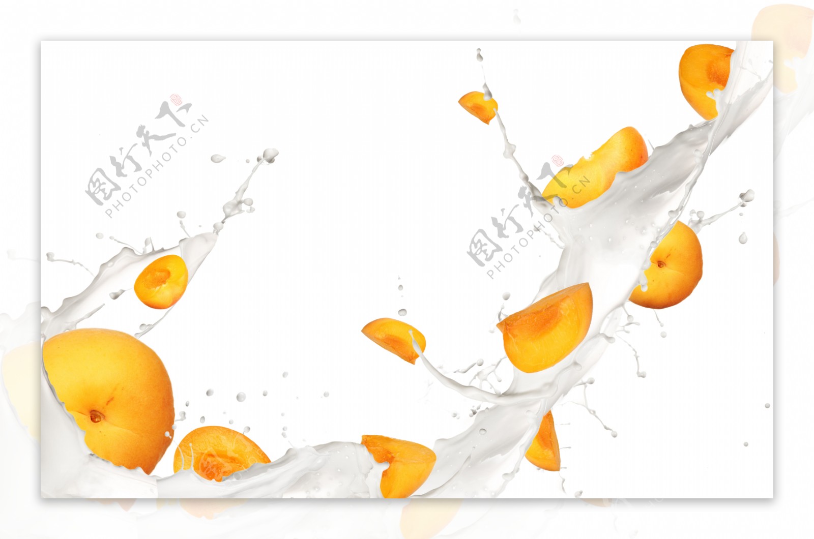 奶浪中的橙子图片