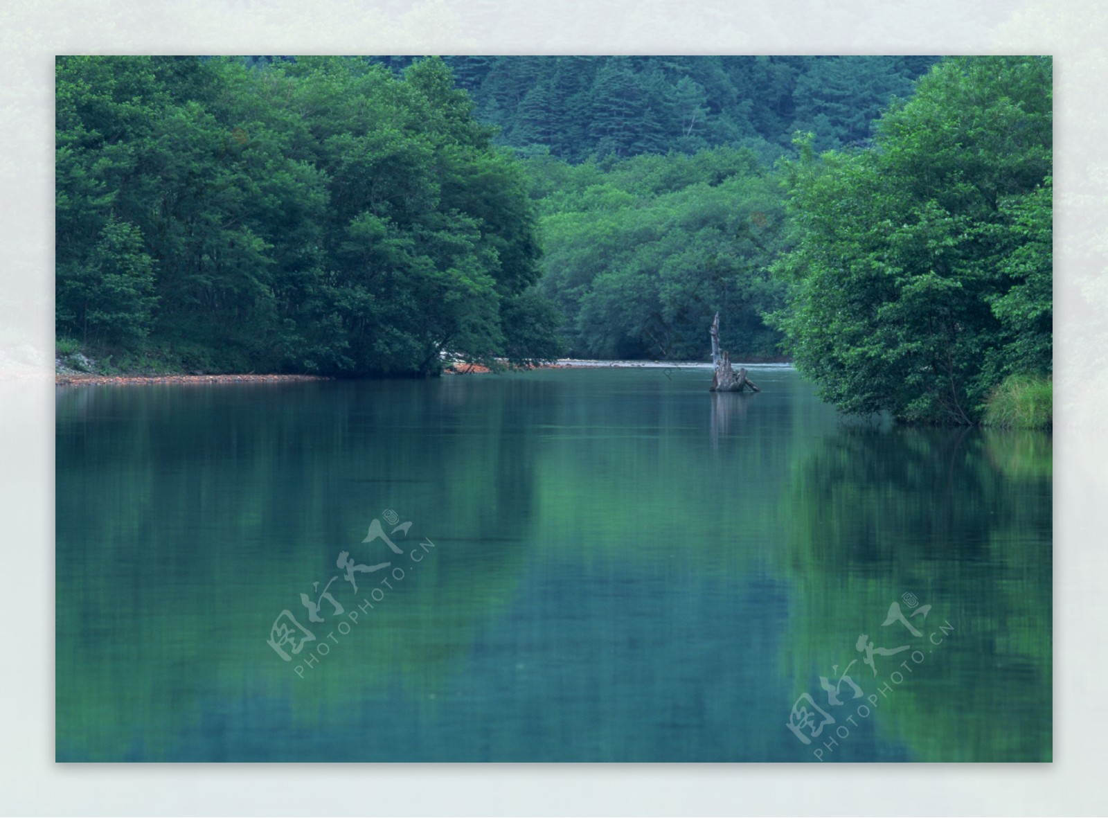 风景自然田园风光