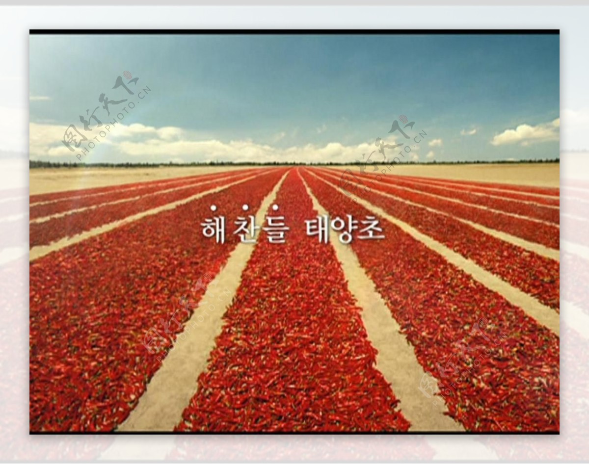 辣椒酱广告视频素材