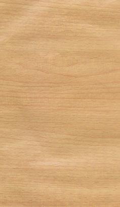 榉木2木纹木纹板材木质
