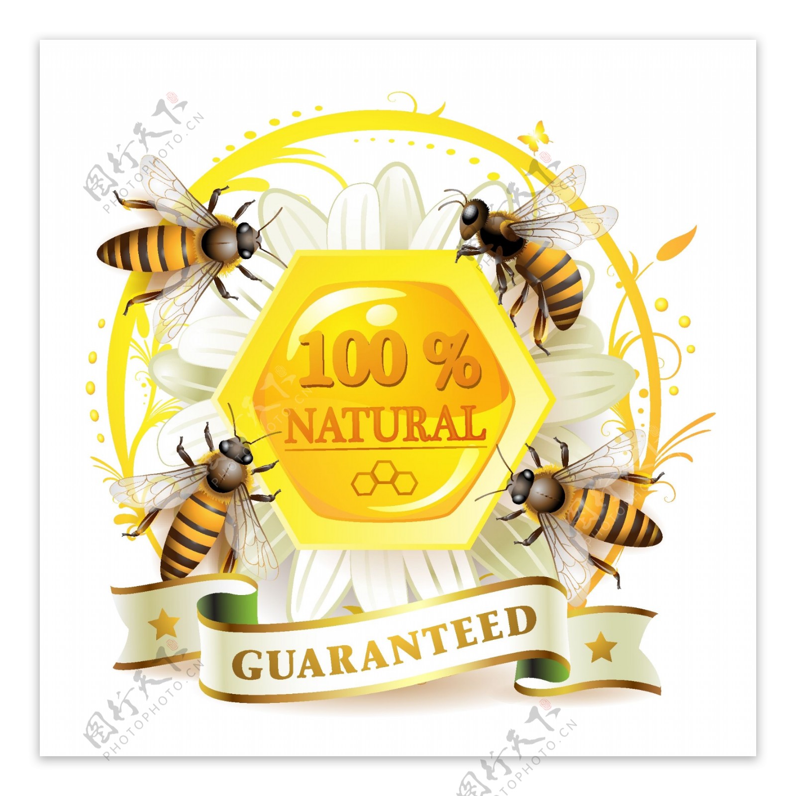 花卉矢量插画的蜜蜂设计元素素材免费下载(图片编号:2013541)-六图网