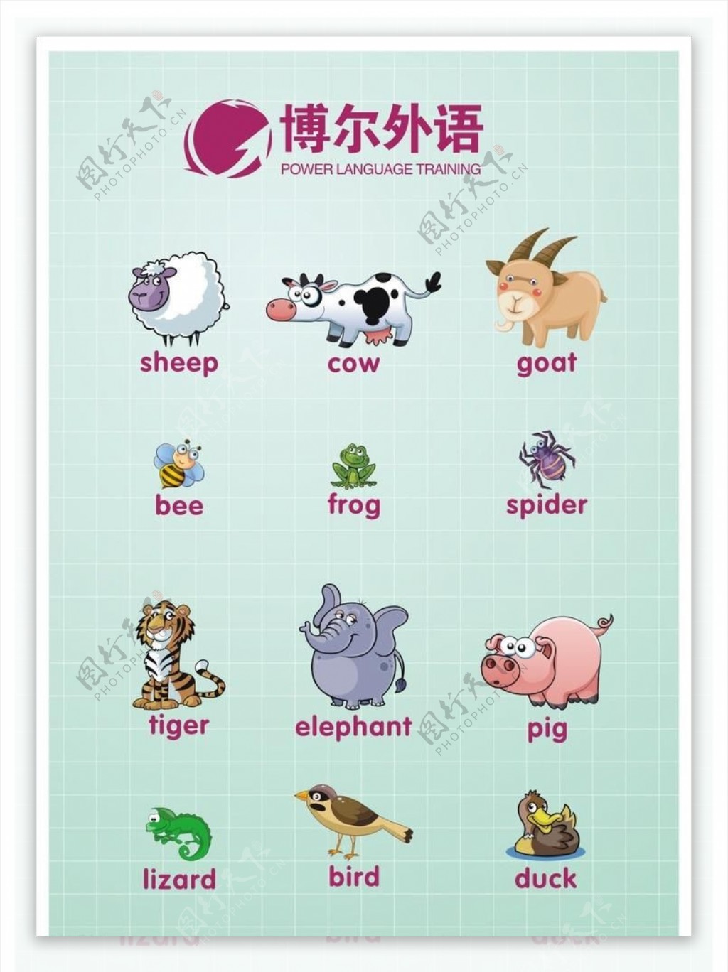 英语培训动物单词