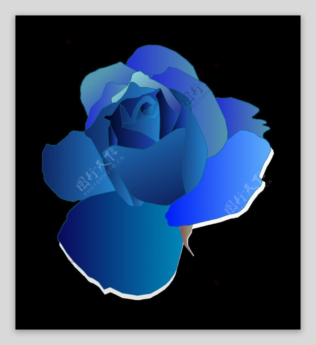 蓝色玫瑰花桌面壁纸1024x768高清大图_彼岸桌面