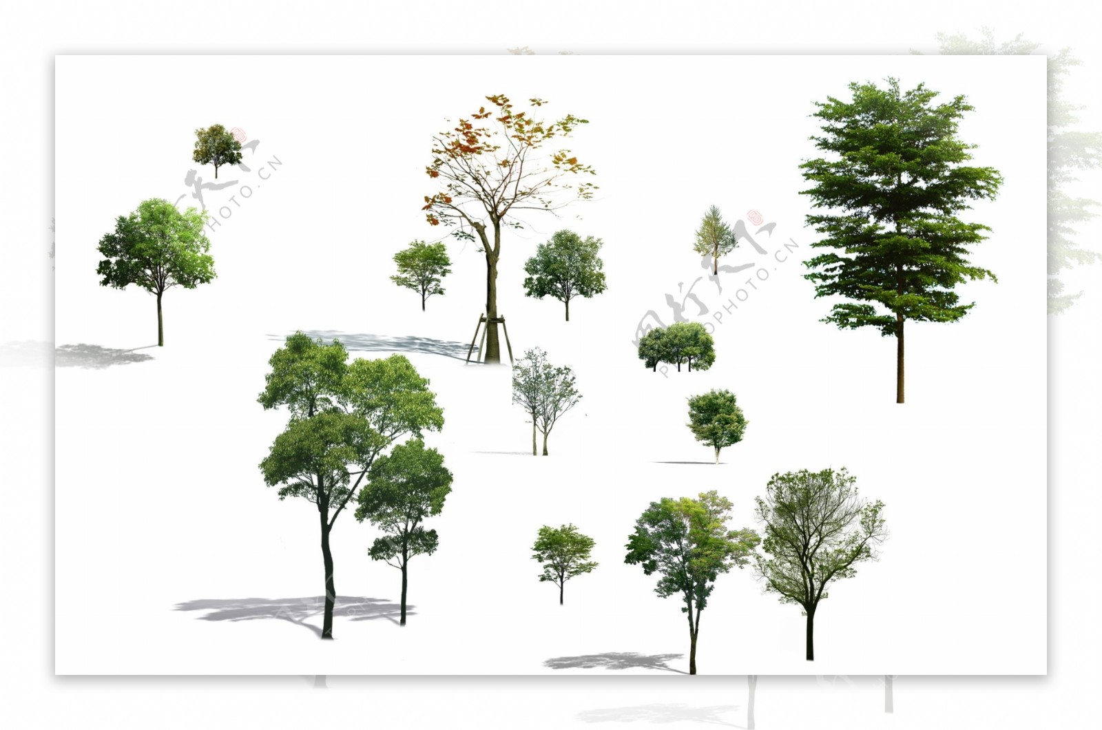 PSD格式树常用树素材