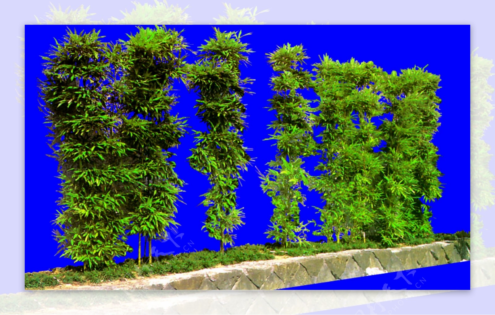 灌木132效果图植物配景素材
