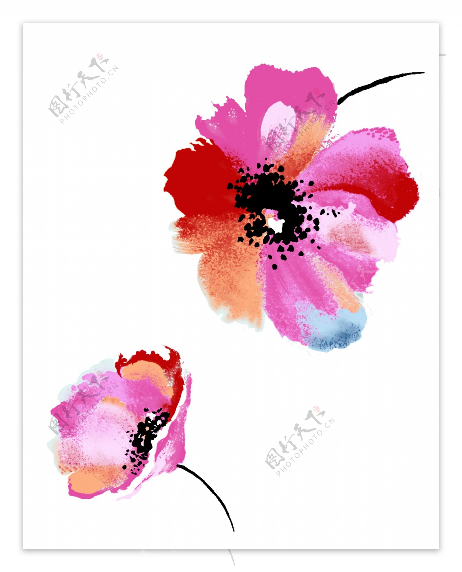 韩国花纹花卉绘画PSD素材下载
