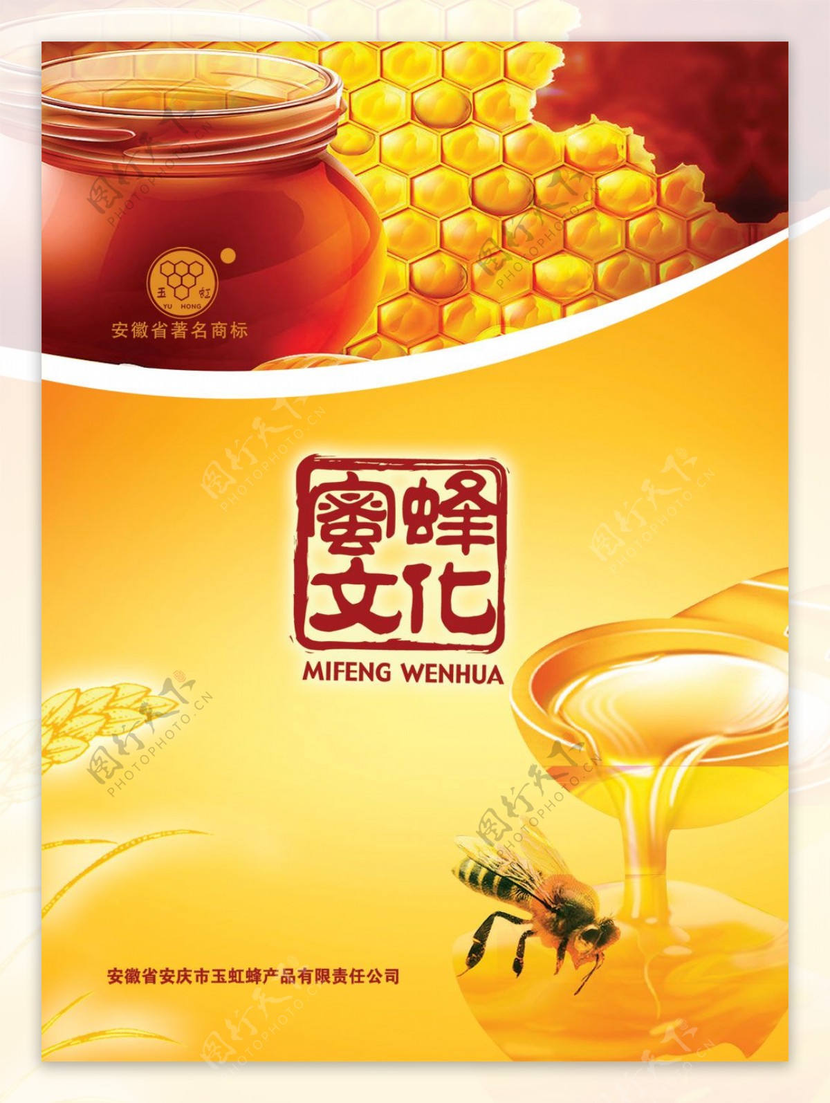 蜜蜂文化封面设计psd分层素材