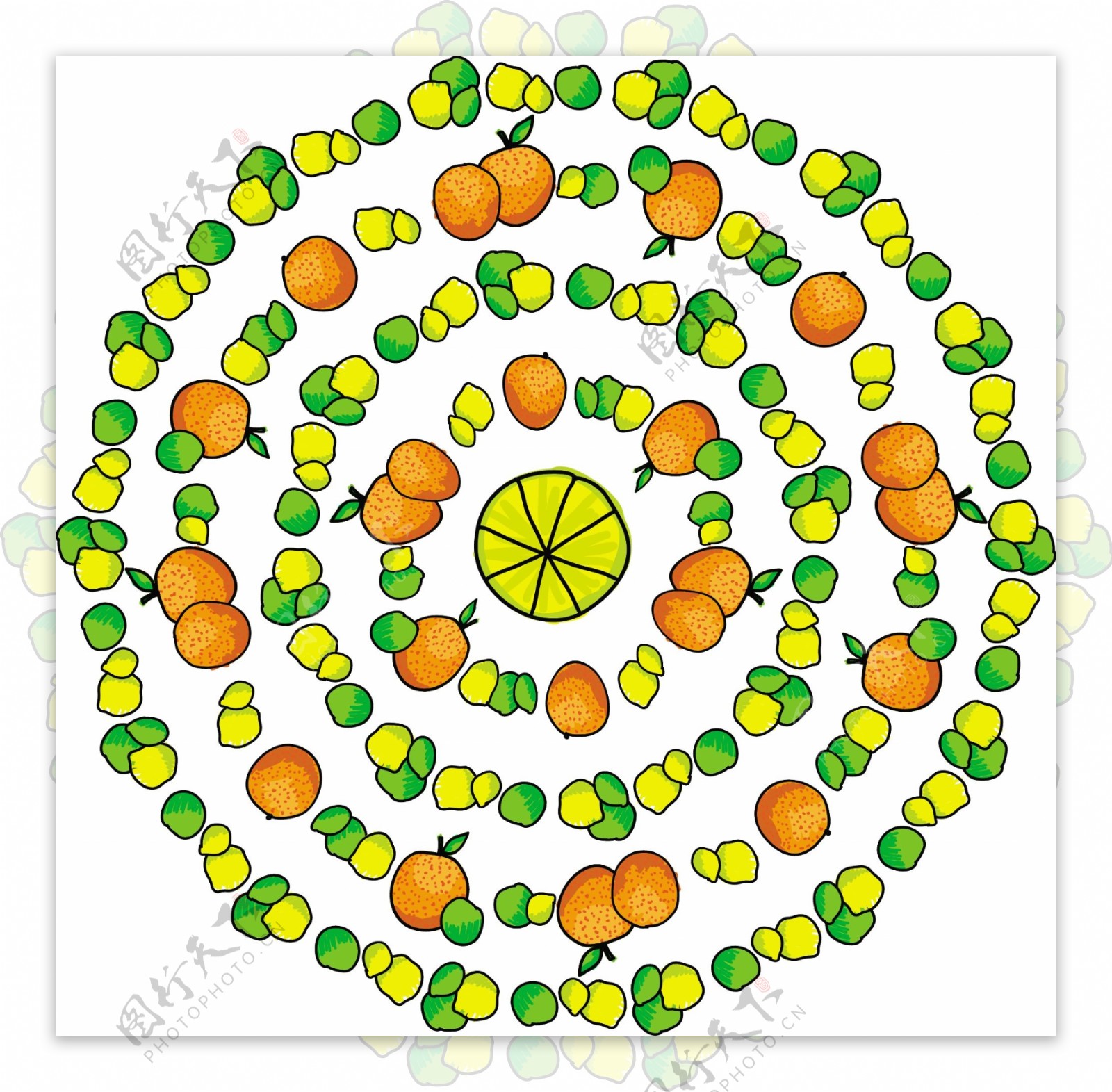 柠檬水果矢量图