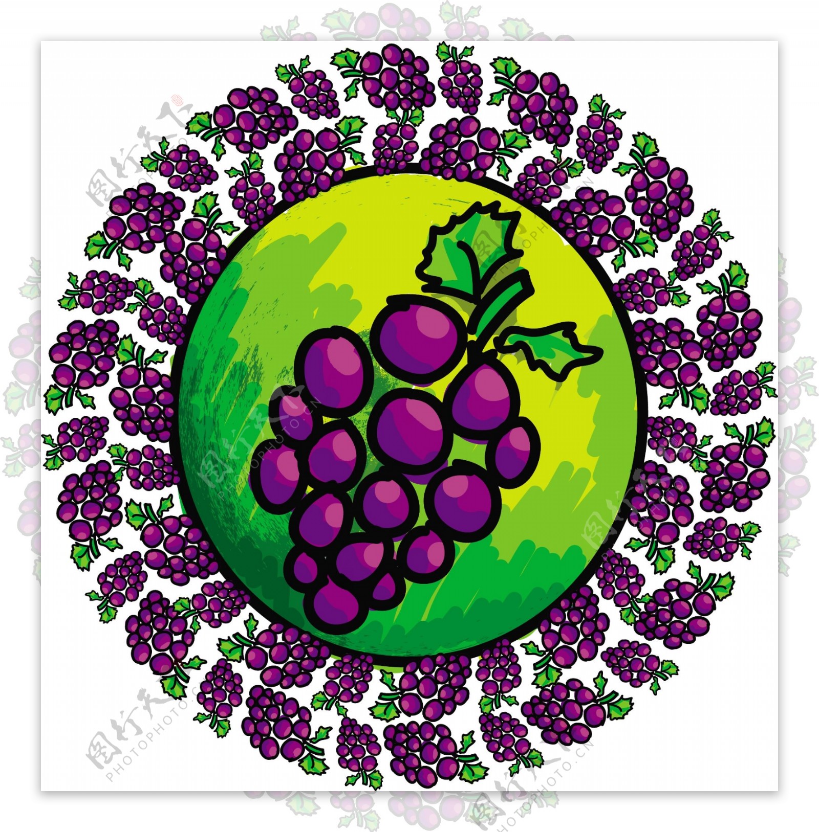 紫葡萄的绿色树叶矢量图像
