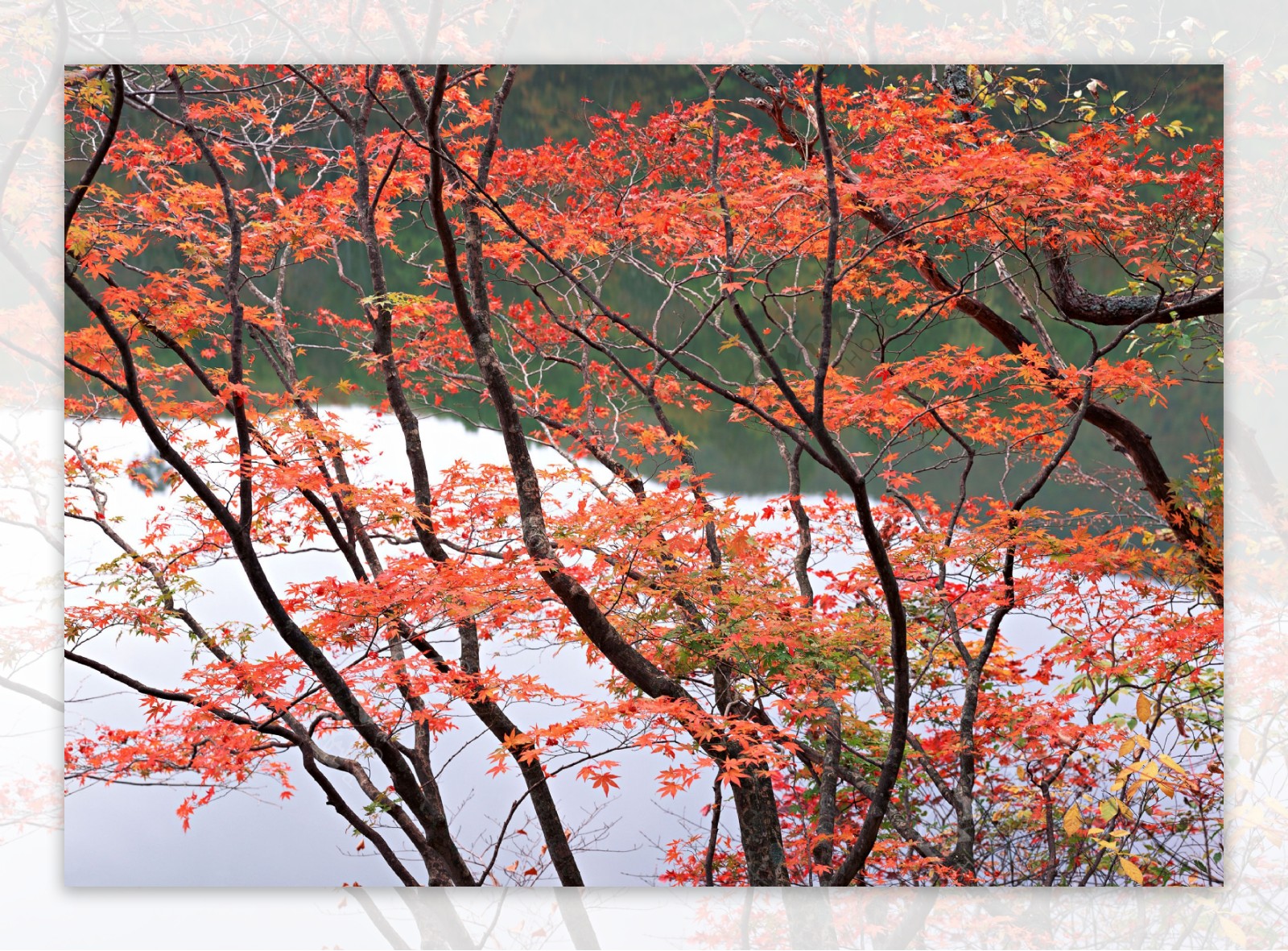 高山流水