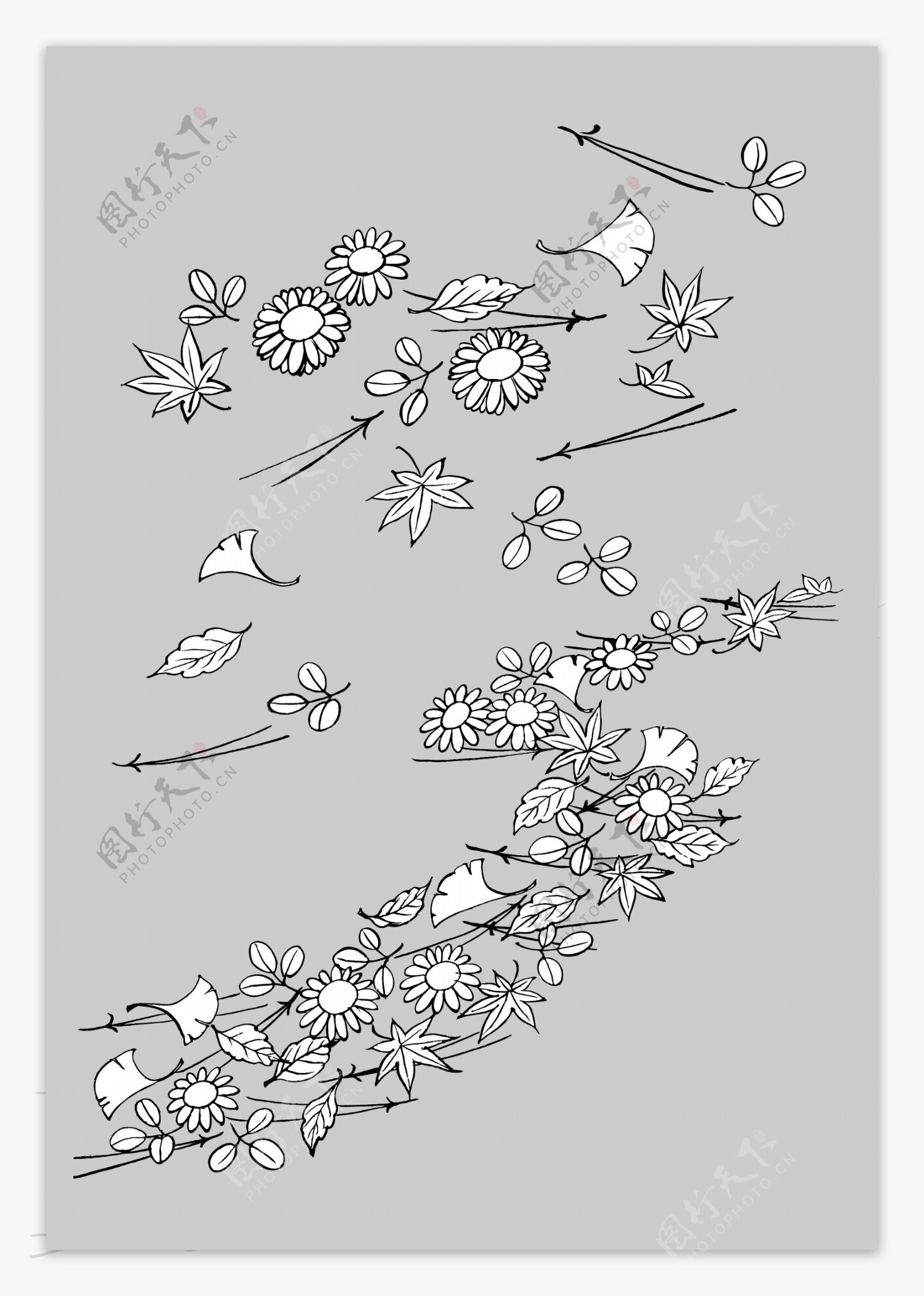 叶子和花的日本线描植物花朵矢量素材14