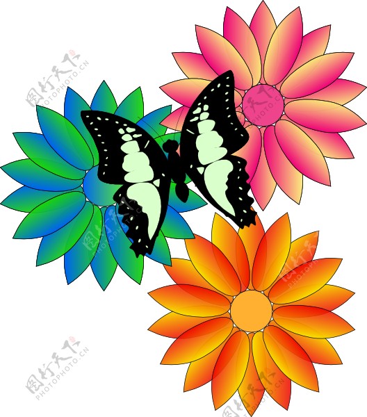蝴蝶和花朵的剪辑艺术
