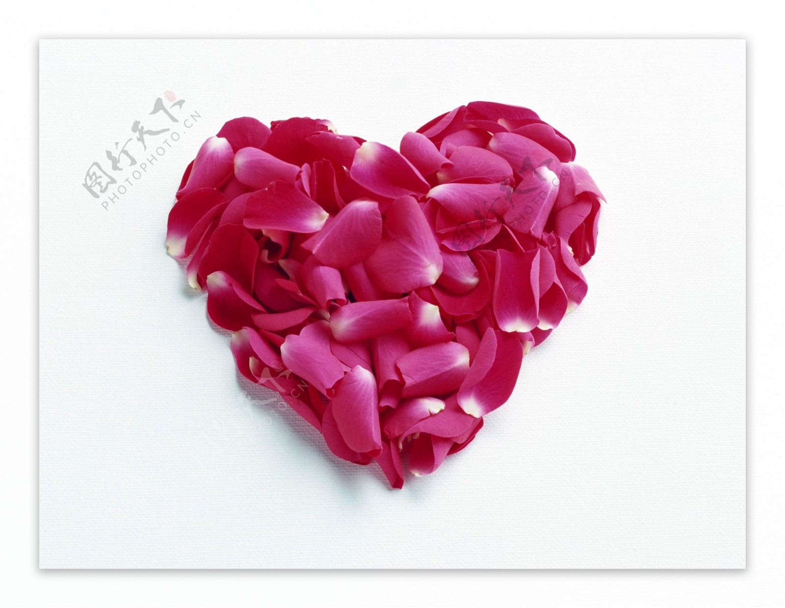 浪漫的心粉红色花瓣堆叠心型花艺