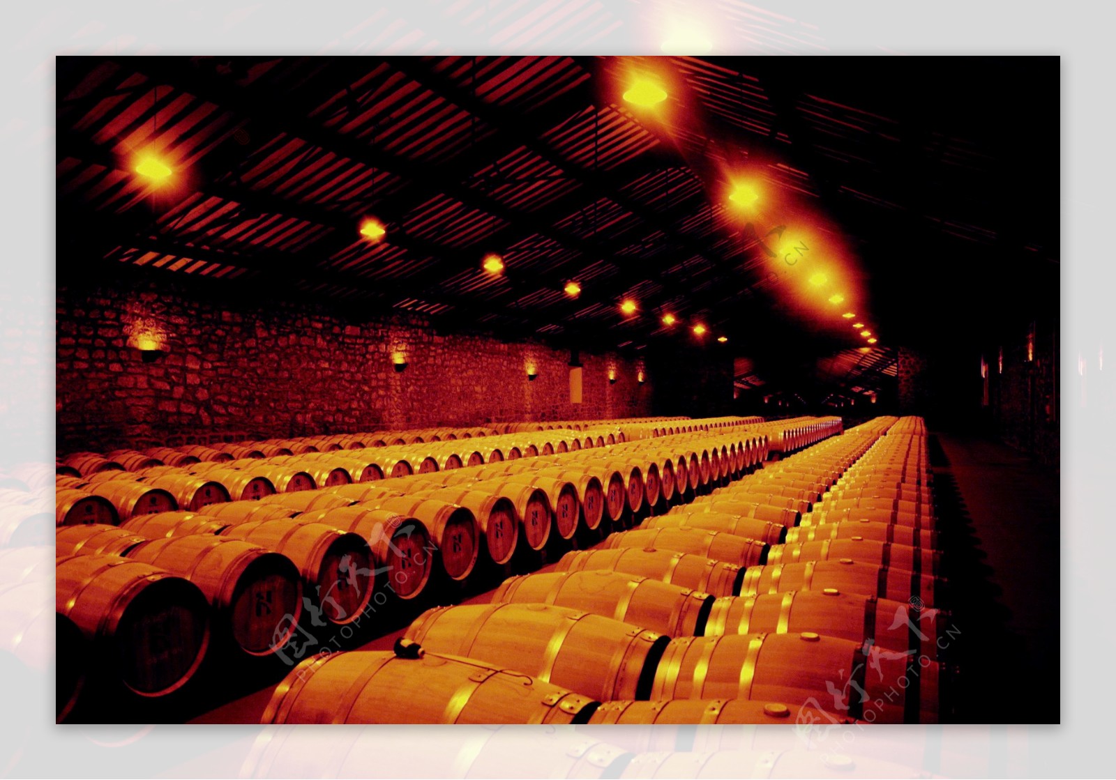 酒窖中的葡萄酒图片