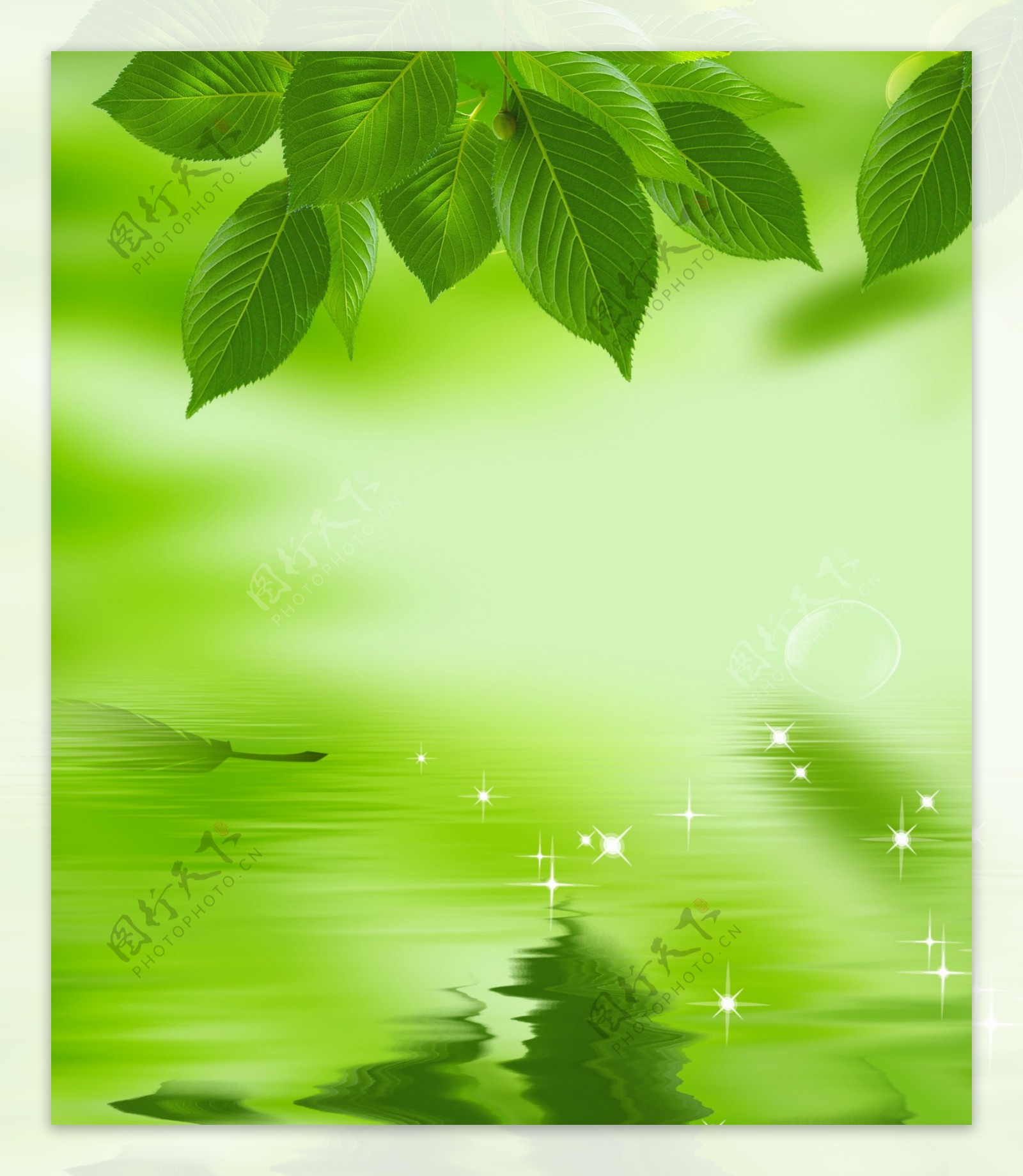 绿色海报树叶图片