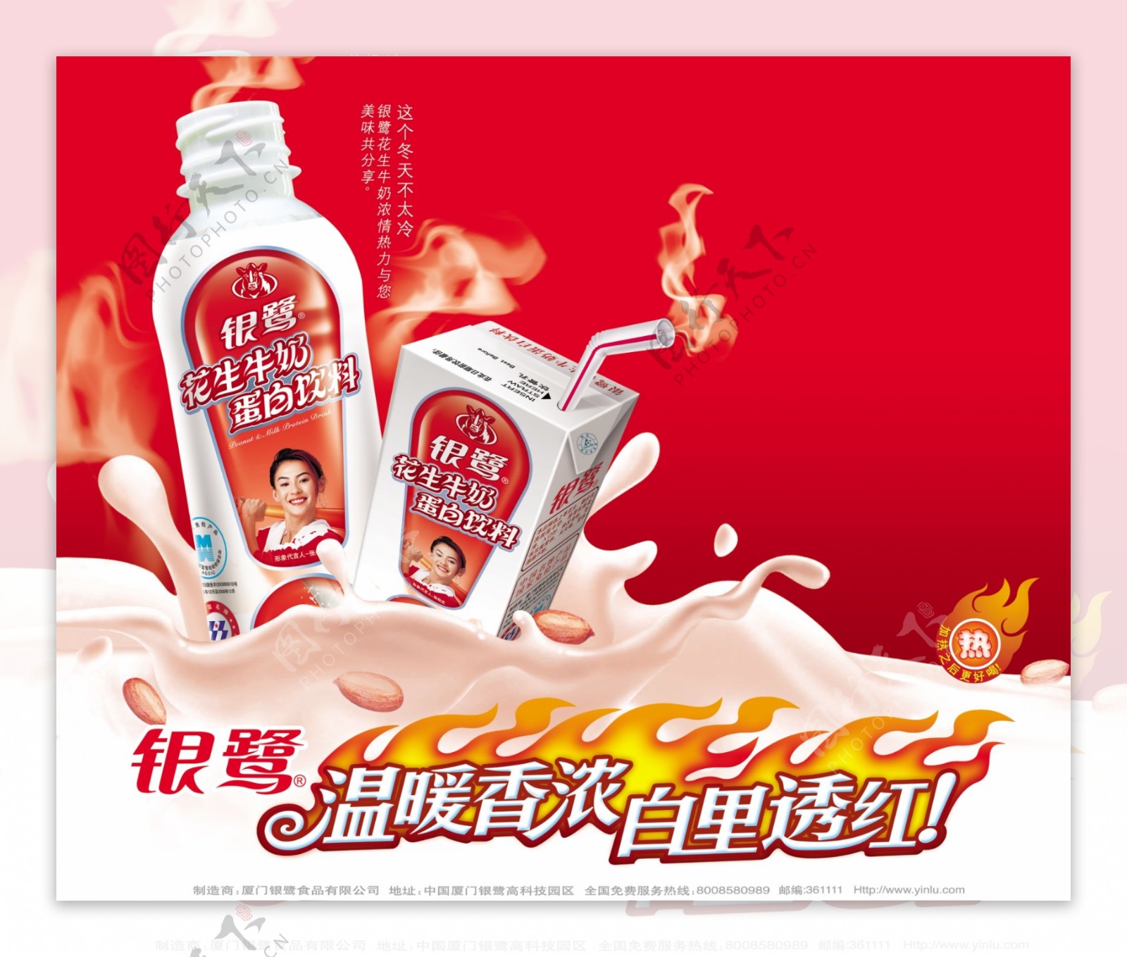 银鹭发生牛奶蛋白饮料海报图片