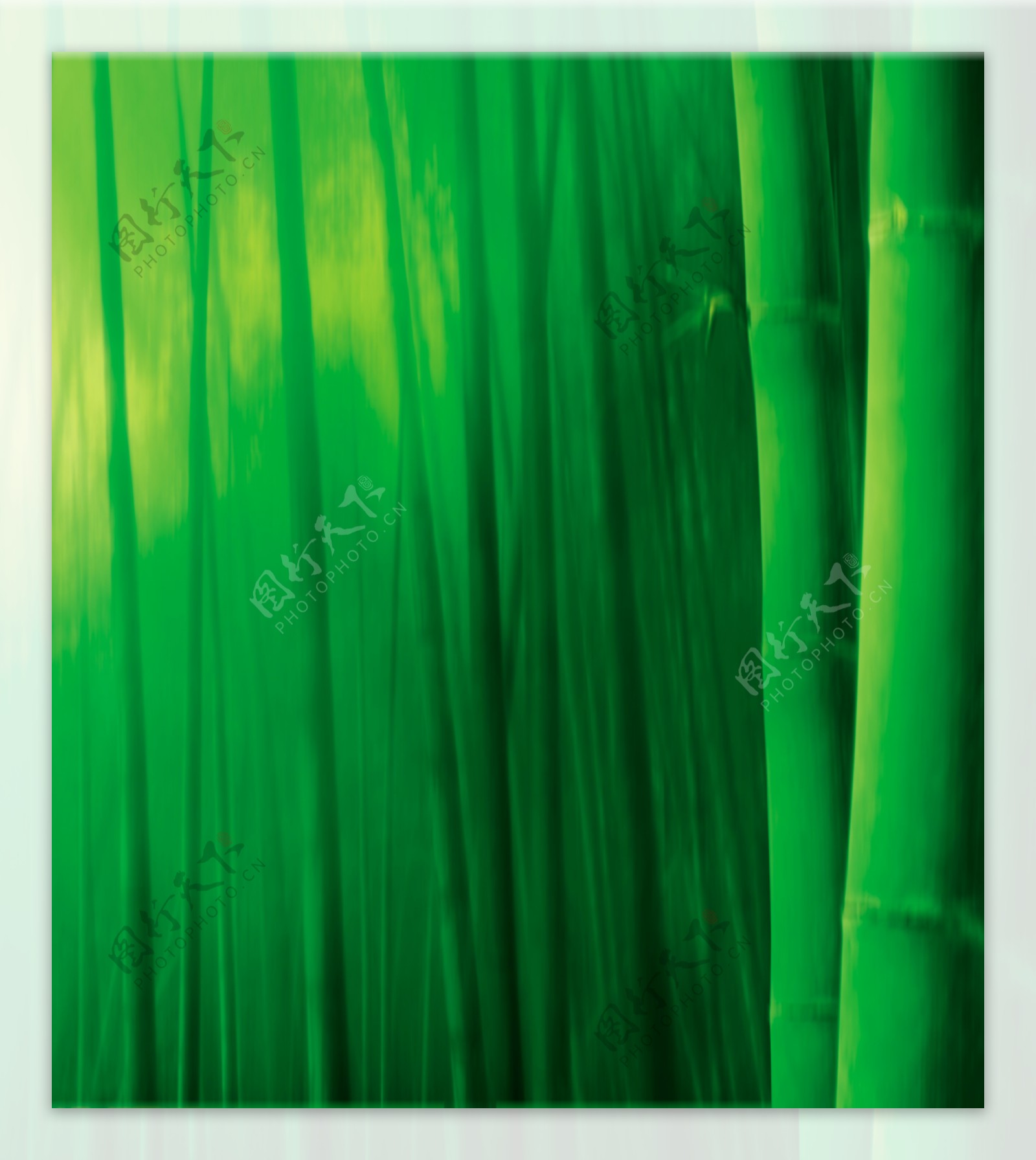 竹林素材图片