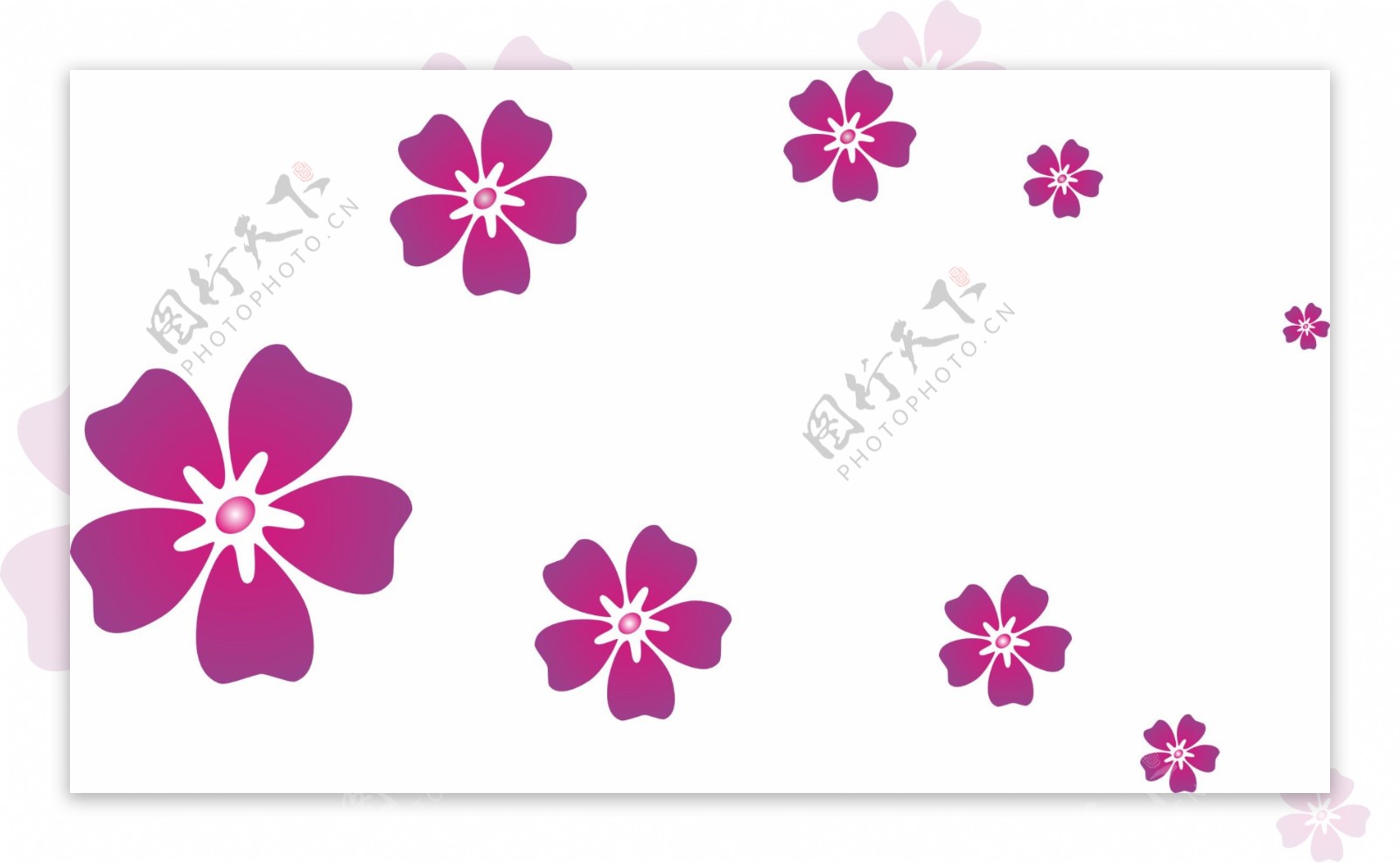 小紫红花纹图片