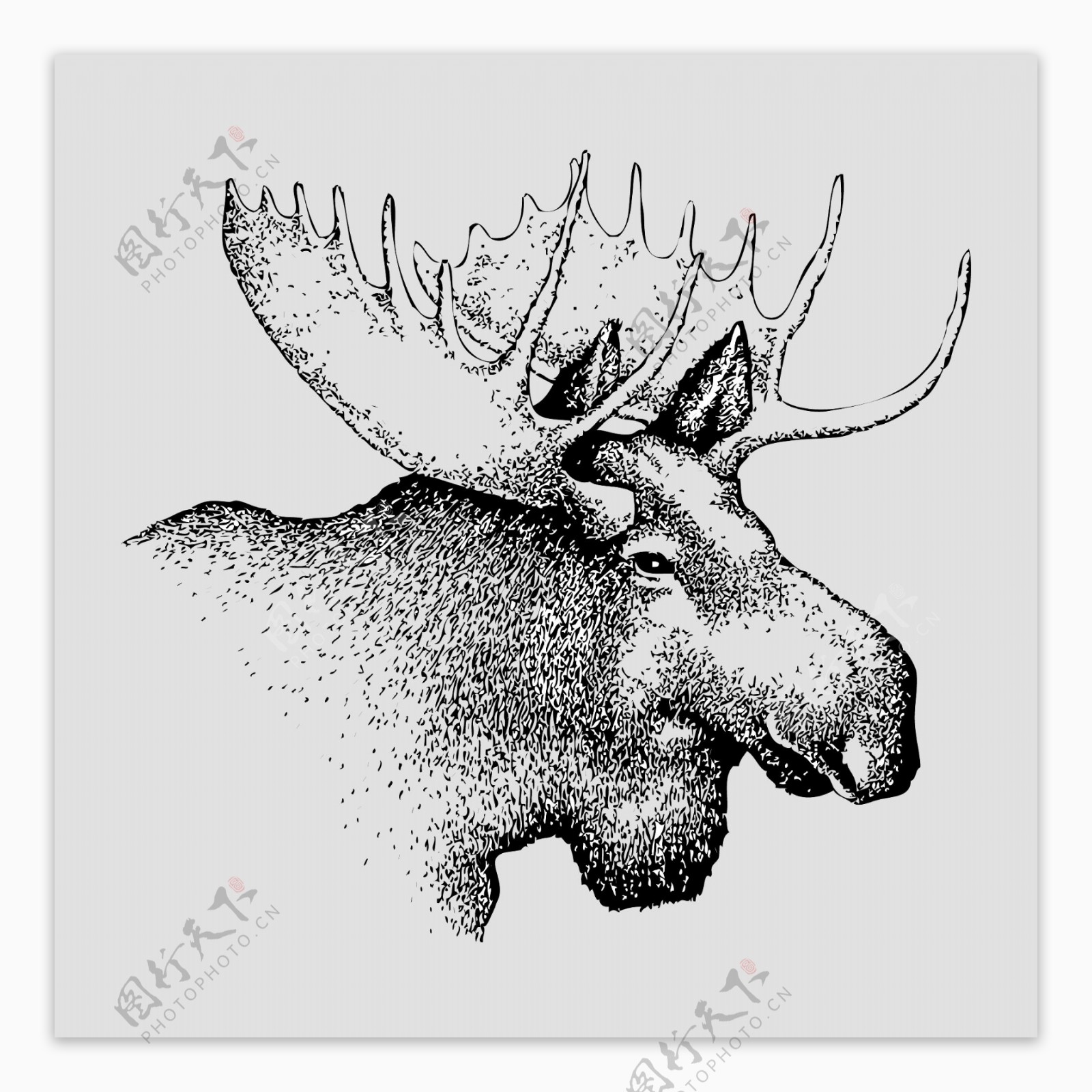 印花矢量图T恤图案动物麋鹿色彩免费素材