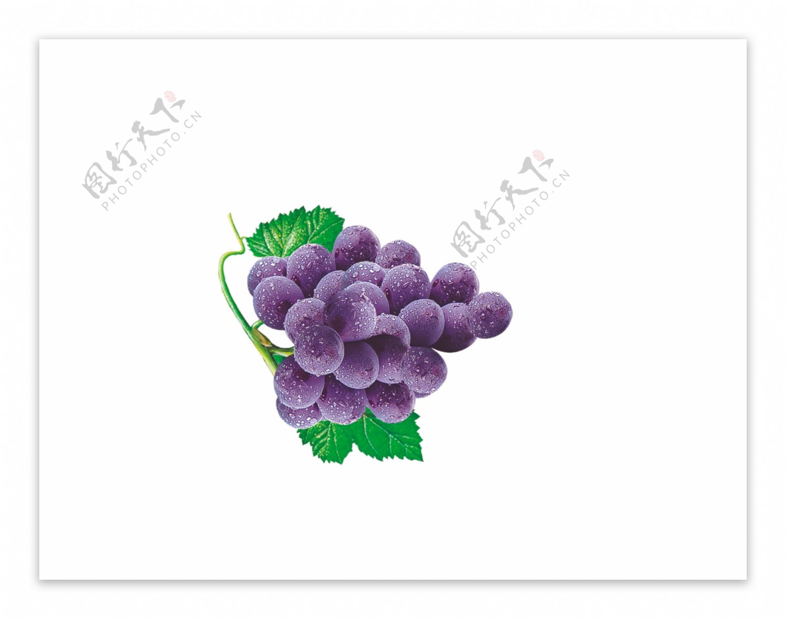 葡萄水果图片