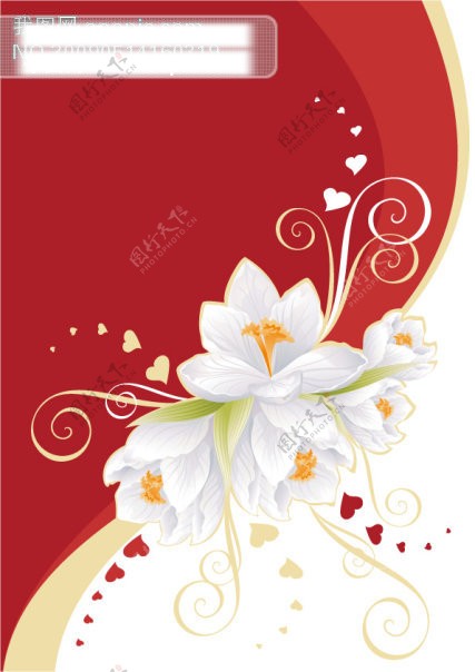 白色花朵与心形花纹矢量图花纹花边底纹背景eps格式文件