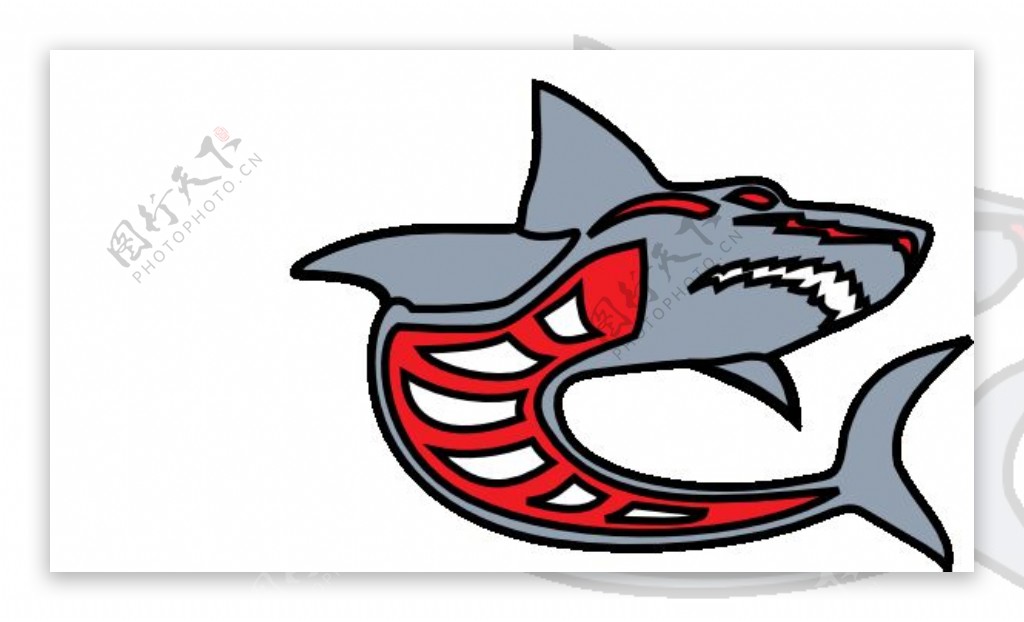灰鲨灰红的灰化的剪贴画