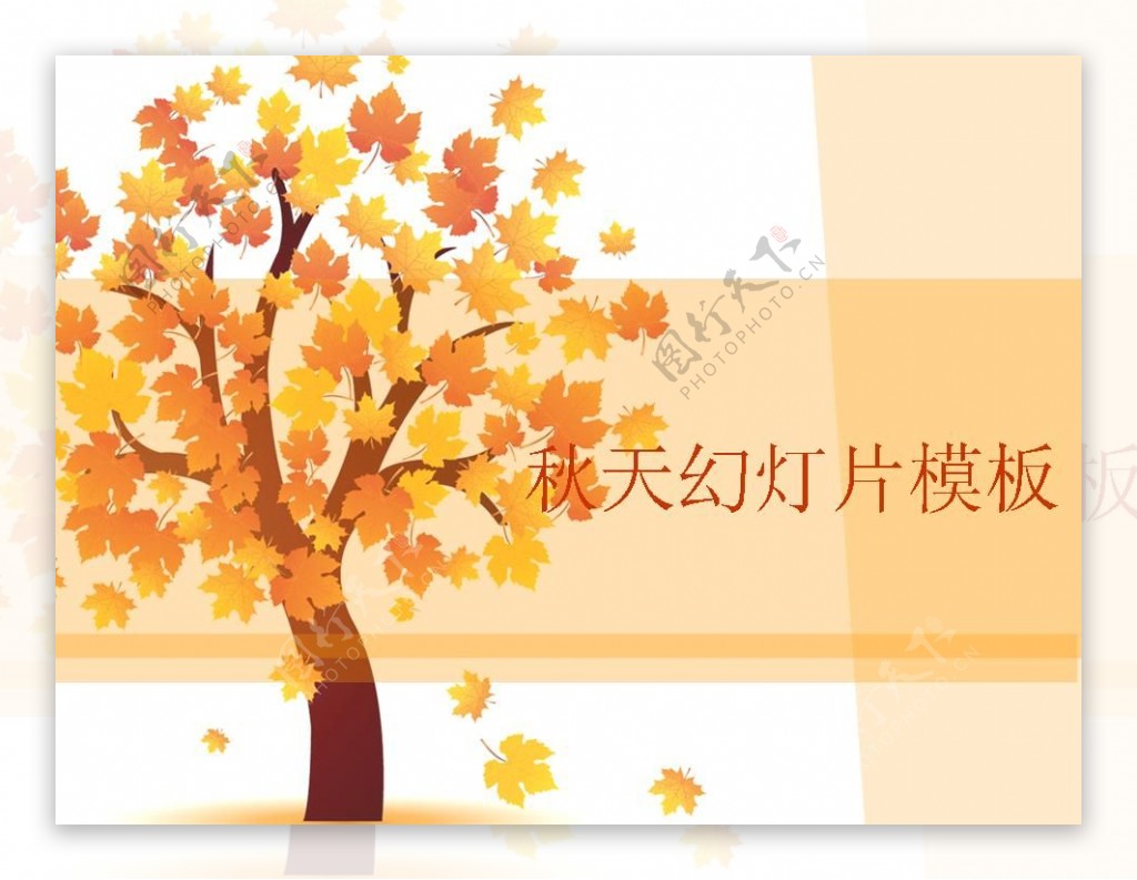秋天枫叶树木PPT模板