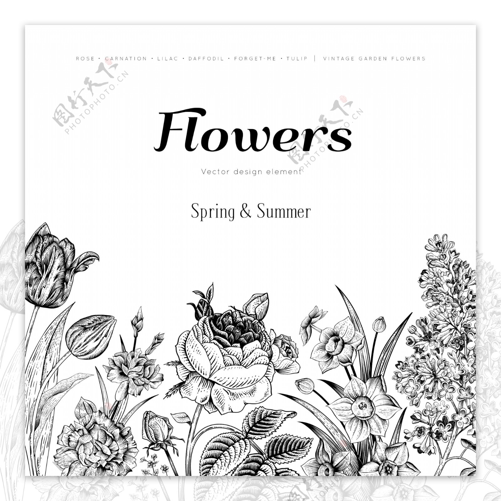 欧式复古手绘花卉图片素材免费下载 - 觅知网