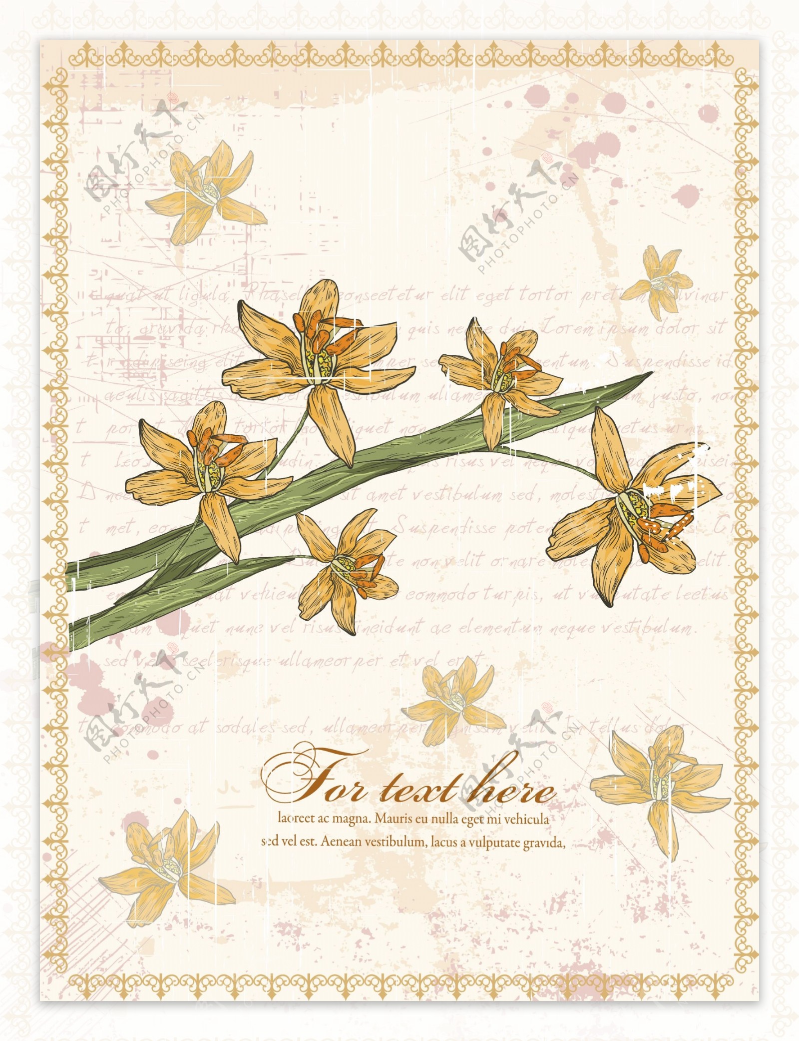 古典花纹花卉图片
