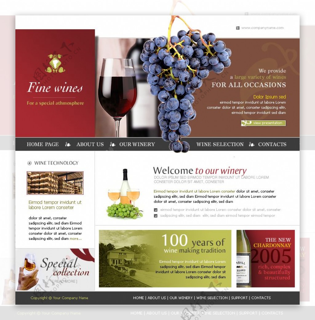 关于葡萄酒的网页设计