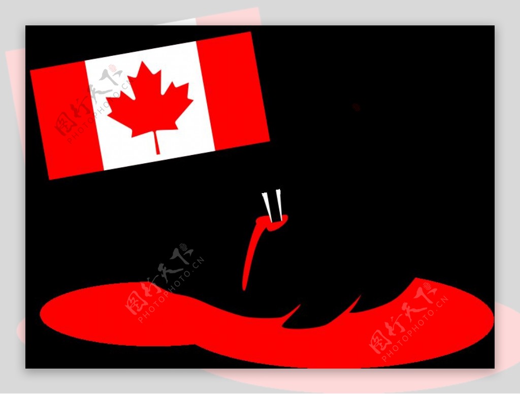 刺伤了加拿大的海豹