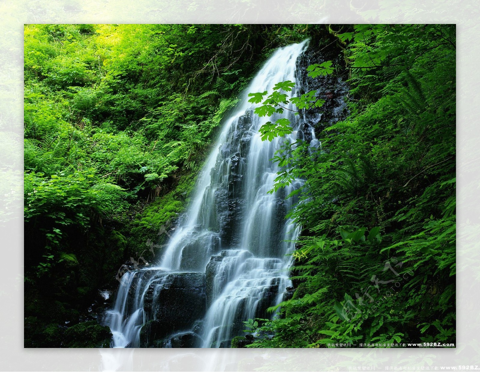 青山绿水