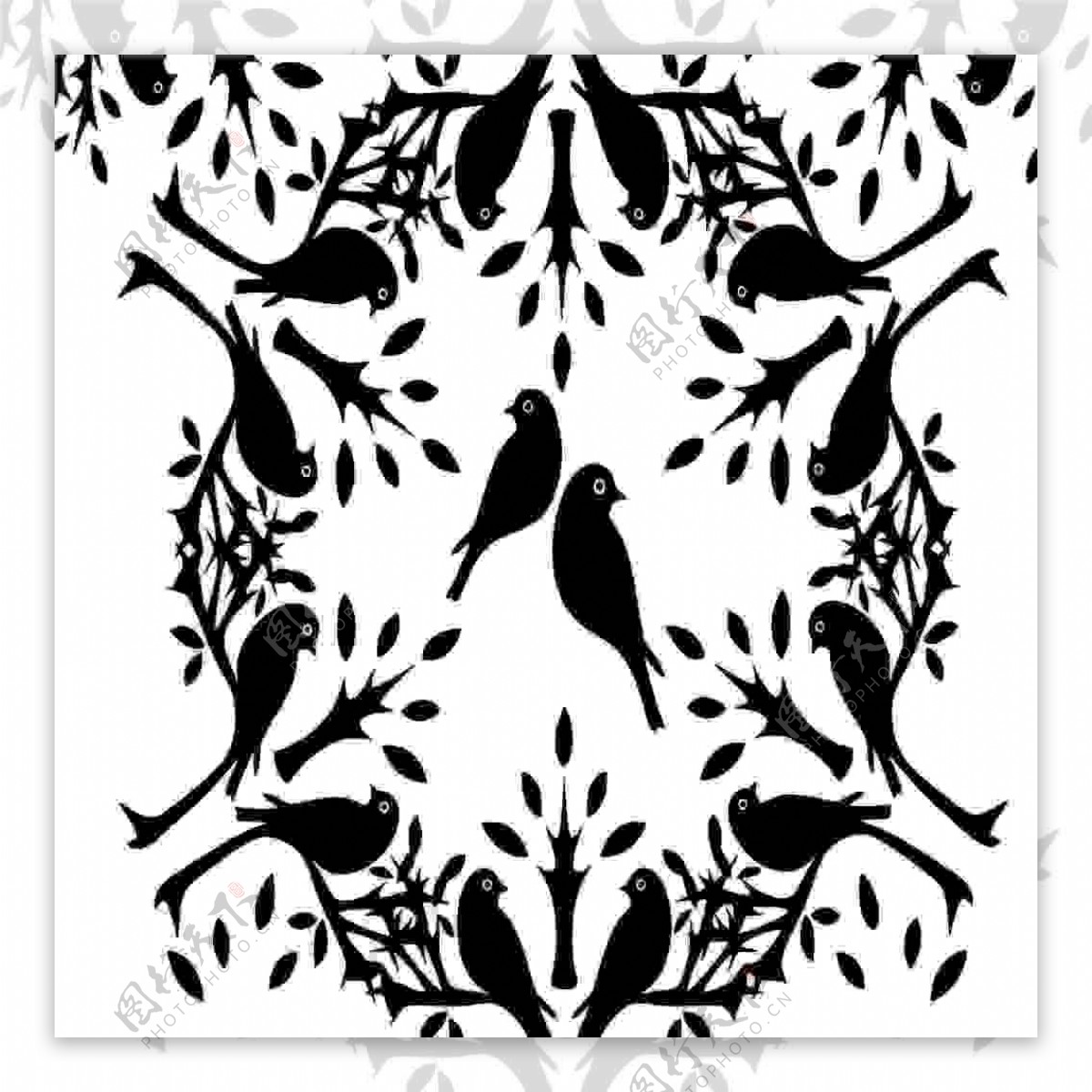 黑白鸟设计图花边花纹底纹边框