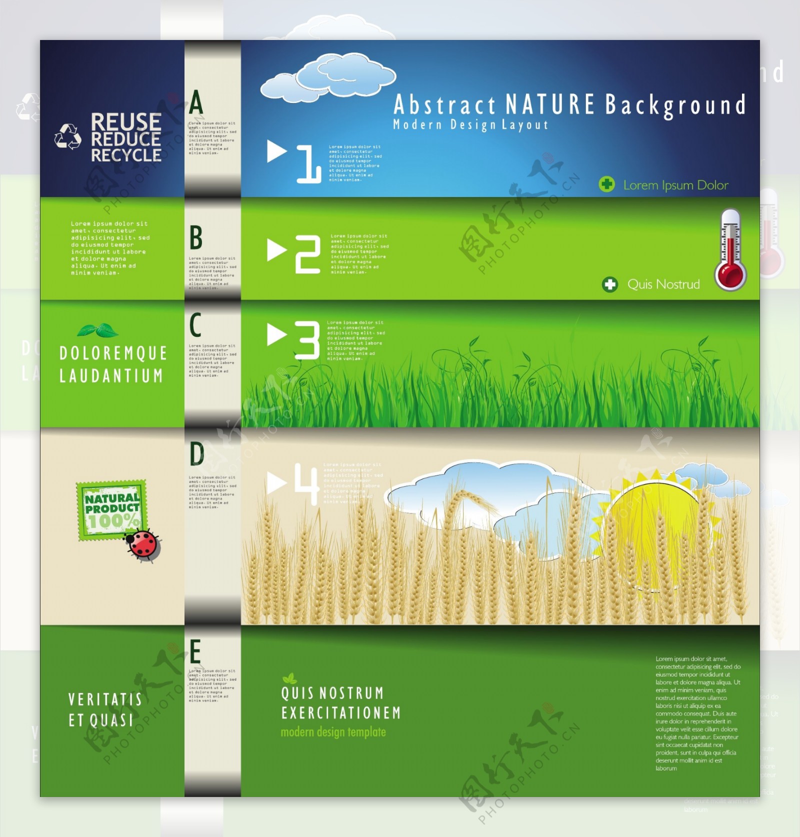 小麦成长标签图片