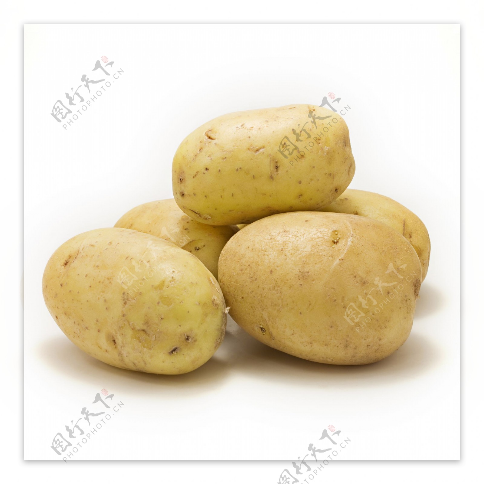 高清土豆图片