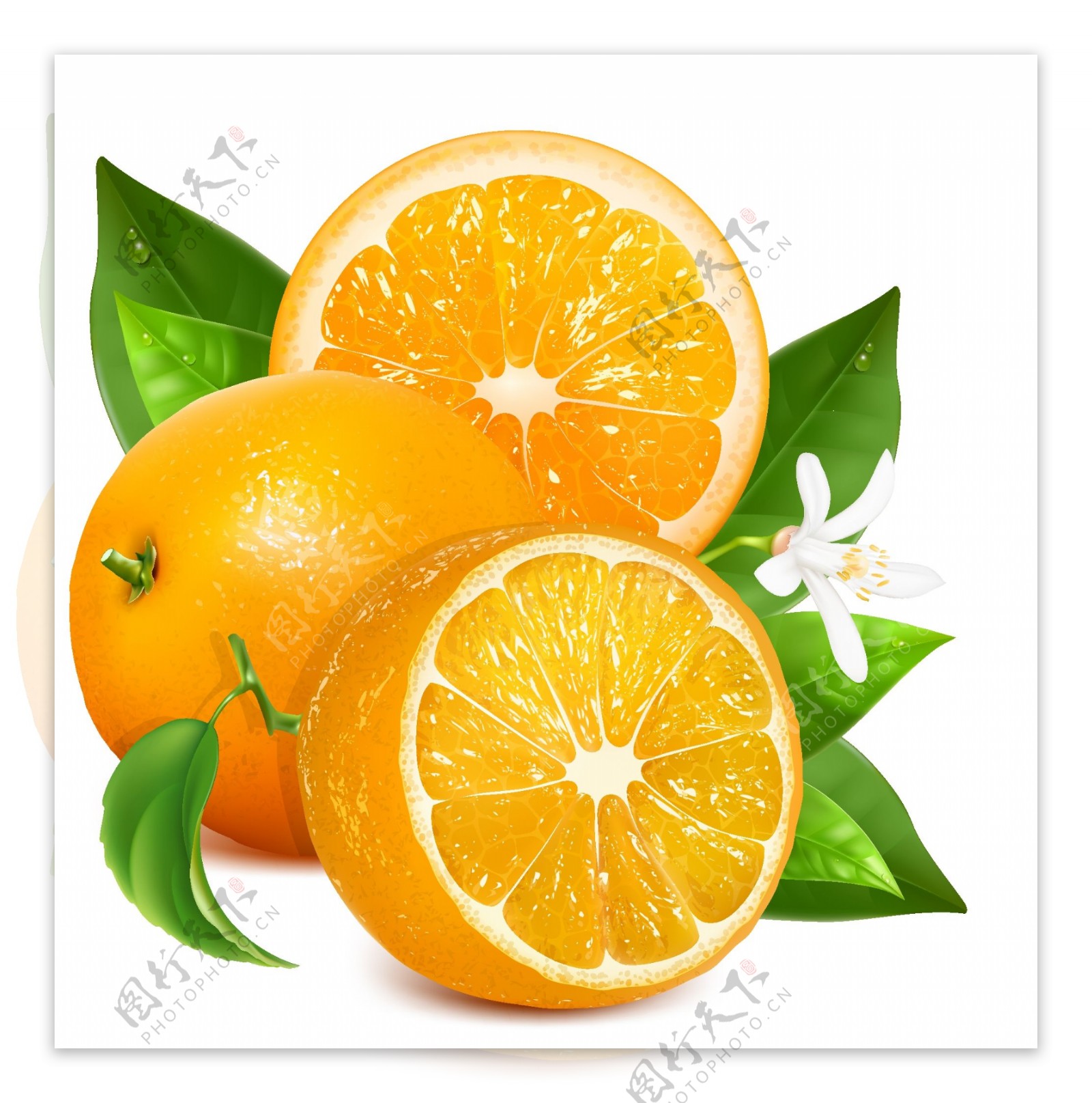 美味的橙子