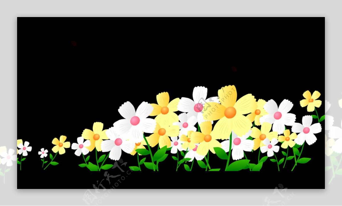 花卉背景视频