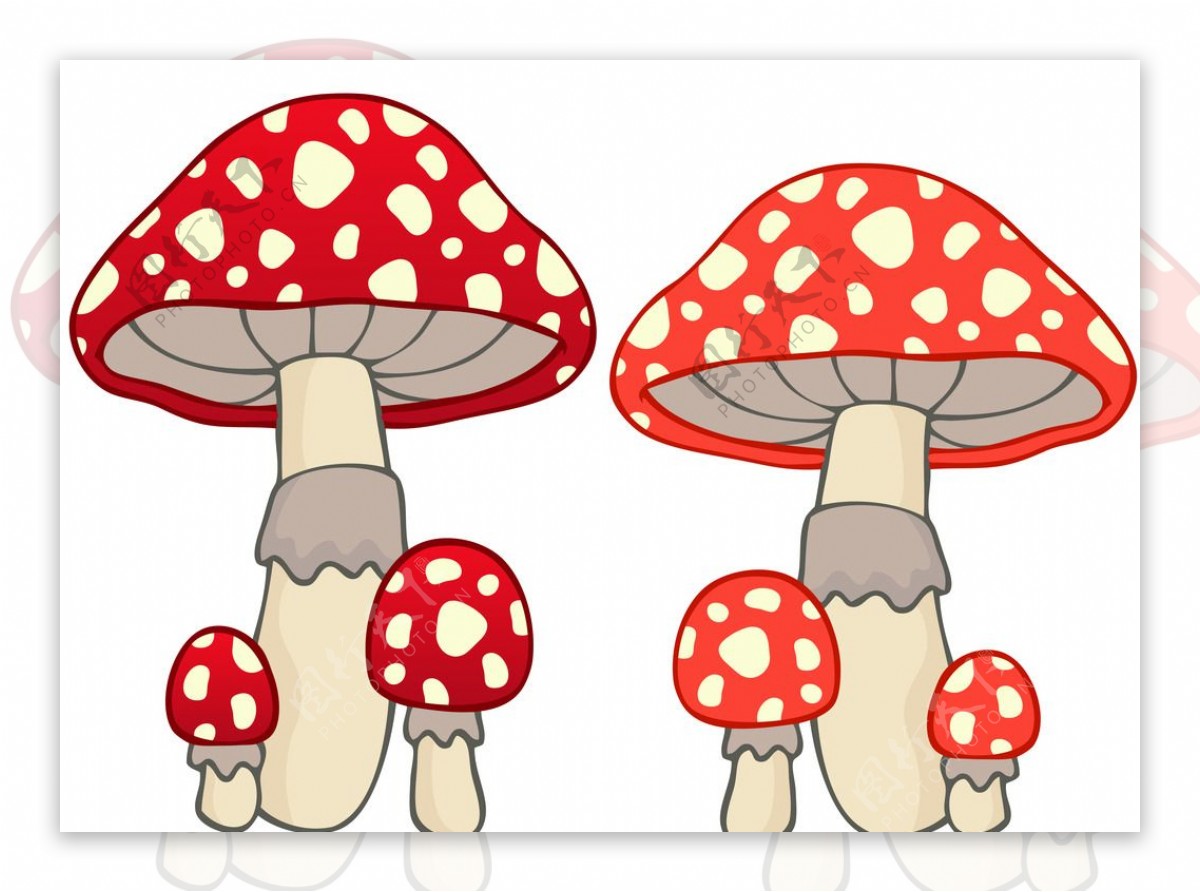 蘑菇蘑菇|插画|插画习作|YURONG97 - 原创作品 - 站酷 (ZCOOL)
