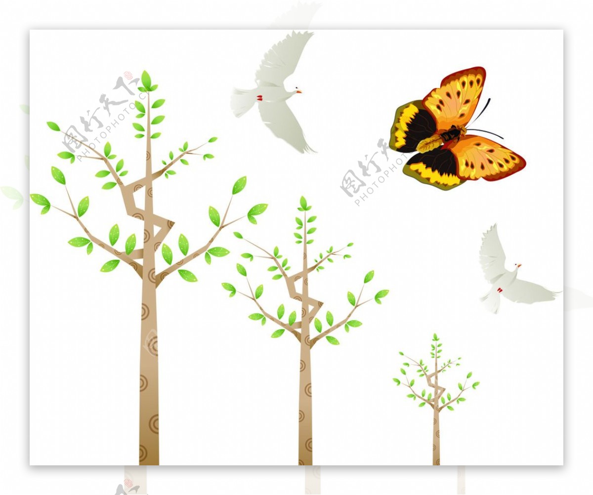 树木鸽子蝴蝶图片