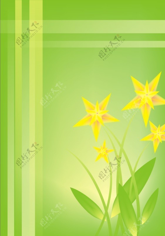 黄色星星花朵图片