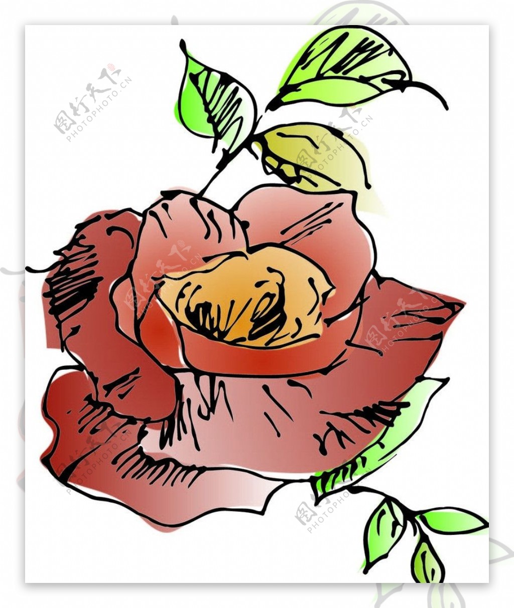 手绘玫瑰花线描矢量图图片