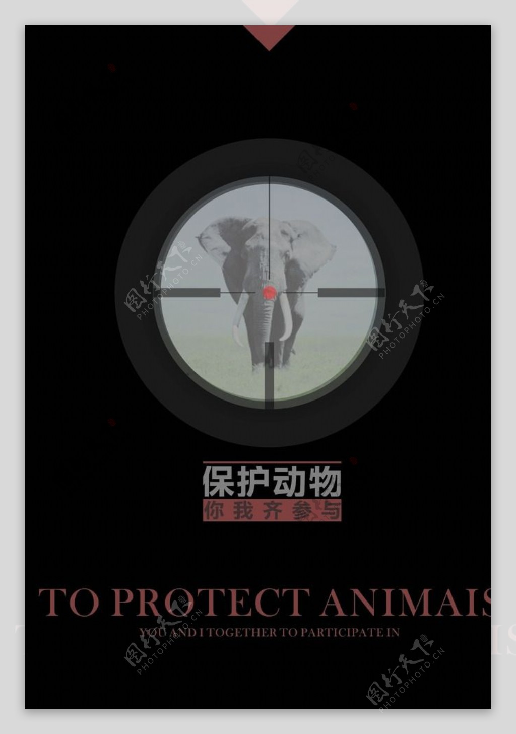 保护动物图片