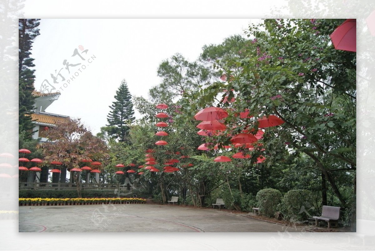 春节气氛红伞图片
