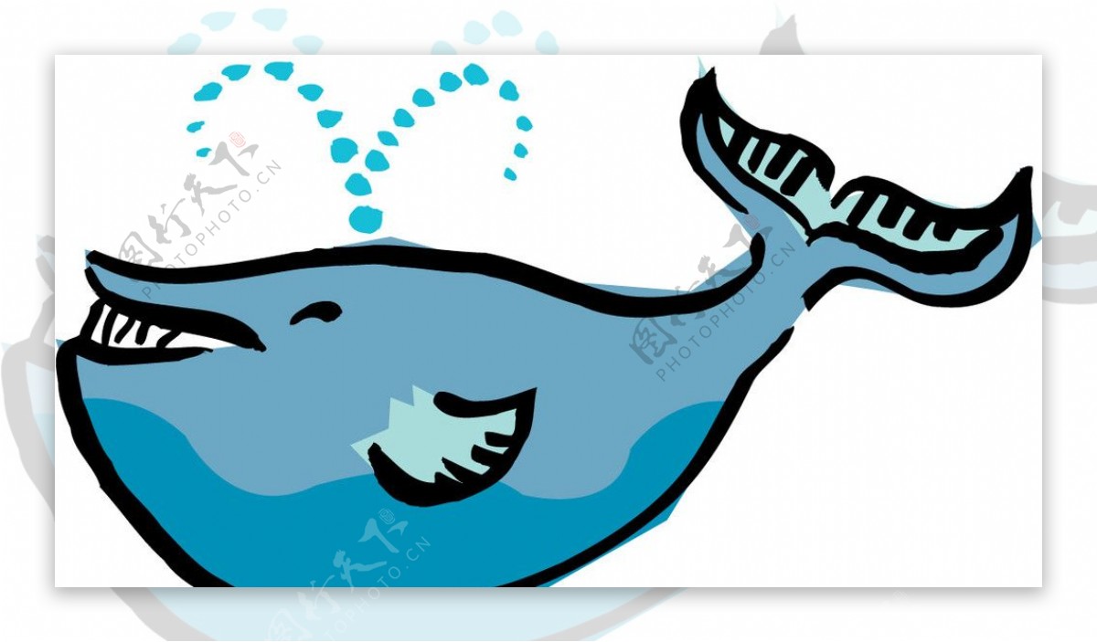 海鲸矢量图图片