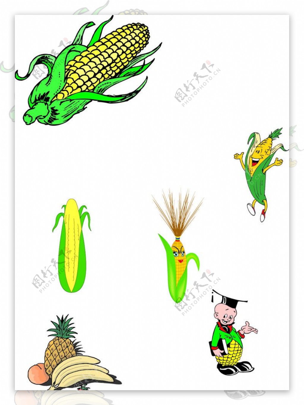卡通玉米图片