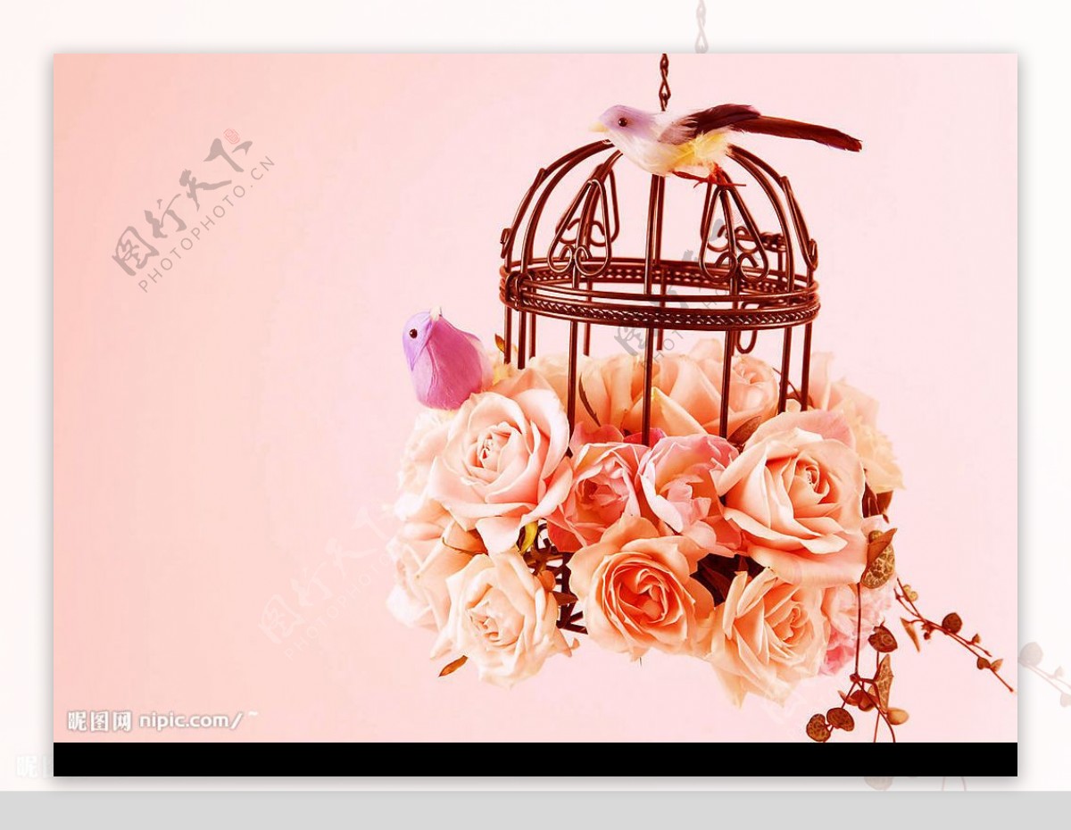 情人节粉红玫瑰温馨幸福鸟笼婚礼图片