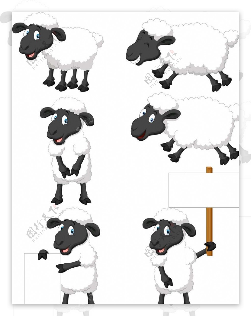 绵羊简笔画涂色步骤教程💛巧艺网