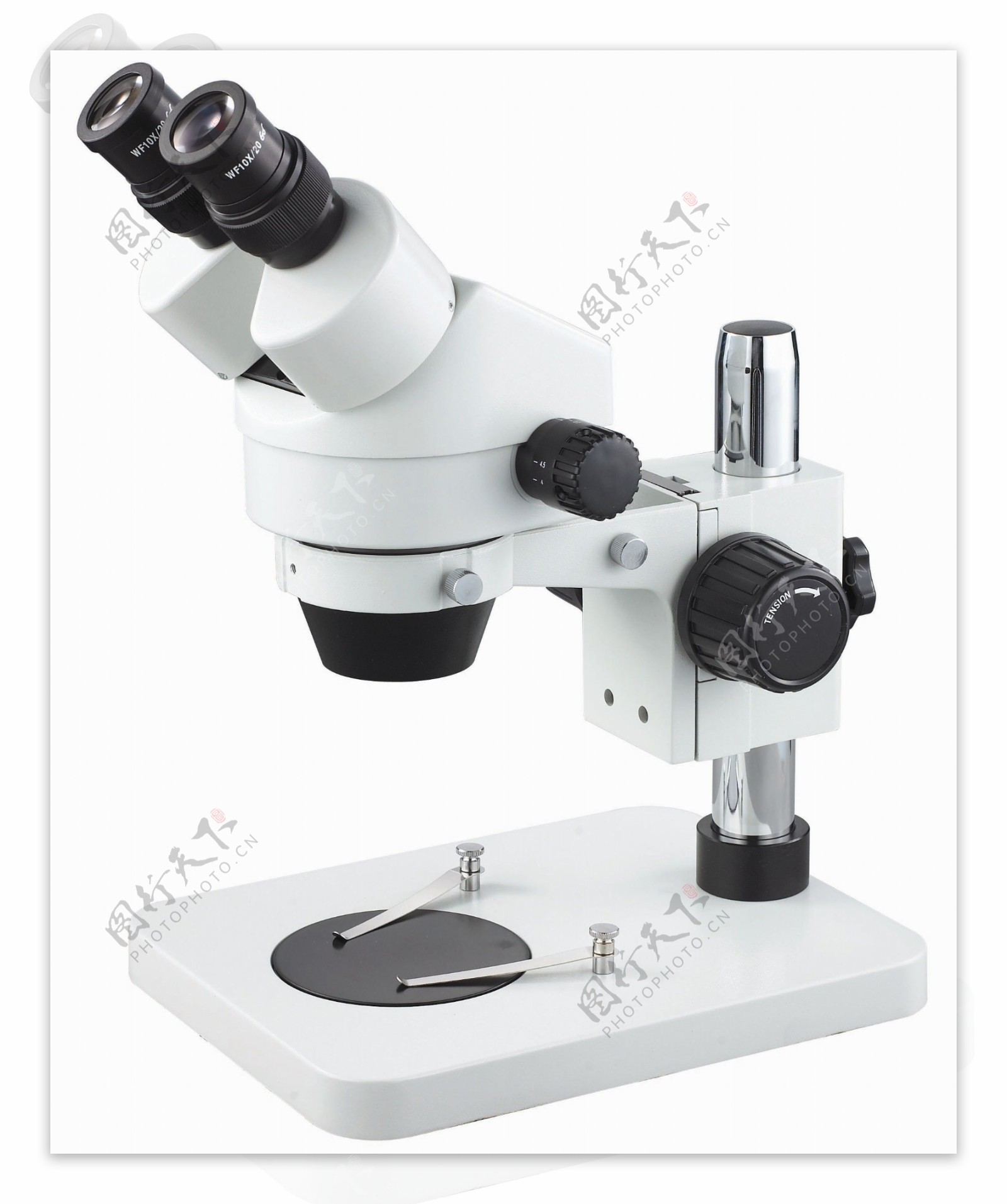 显微镜图片