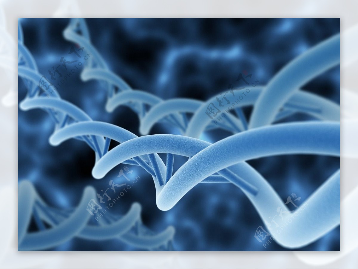 DNA基因组图片