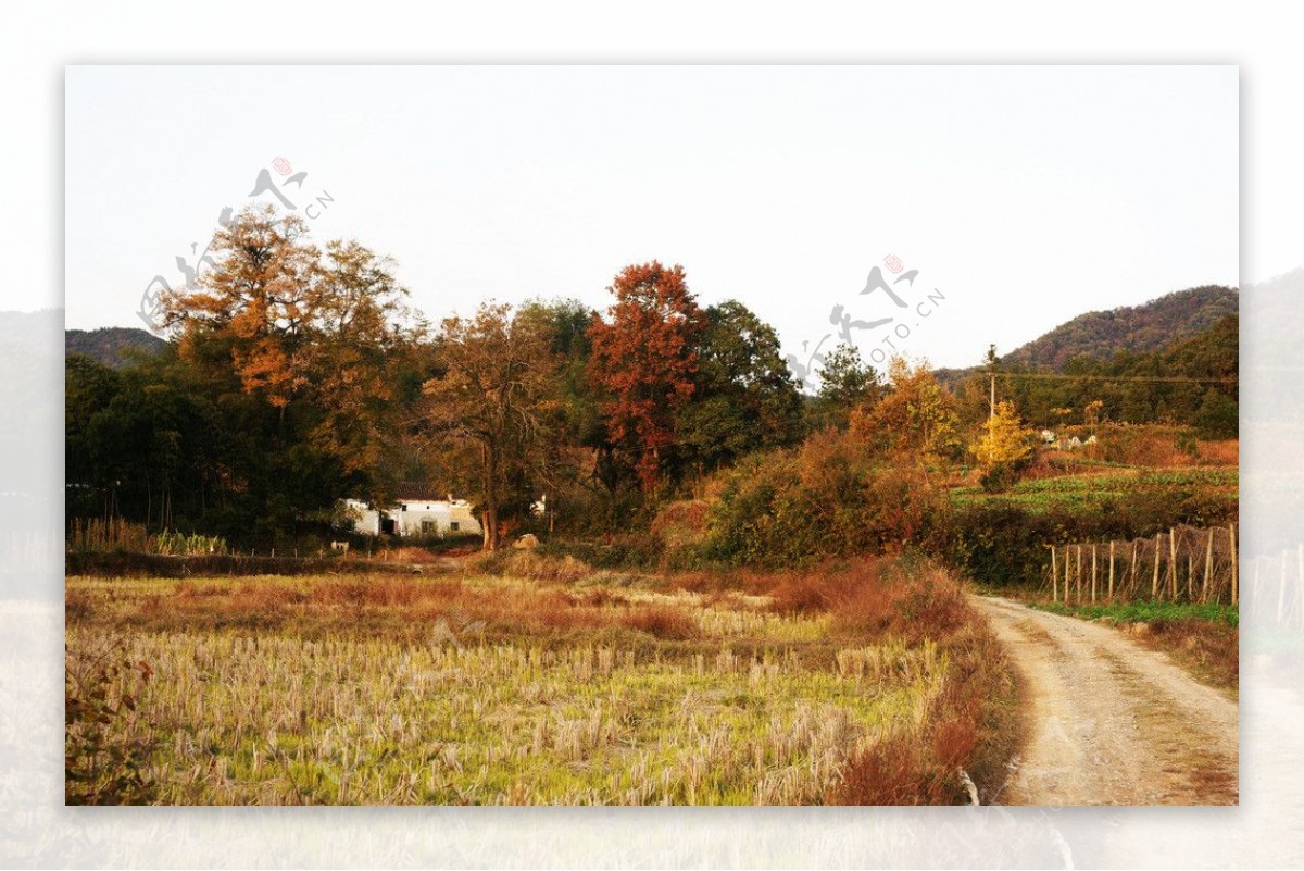 盘点5个必去的贵州古村落，不仅原生态，还美的令人心醉！_美景